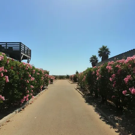 캠프장 Au Soleil Les Dunes *